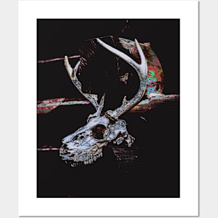 Deer Skull Posters and Art